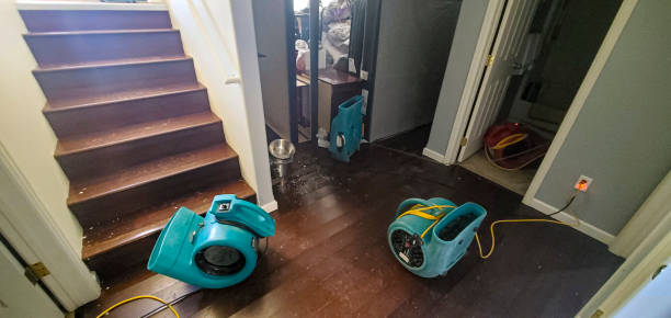 Best 24/7 water damage repair  in Dumas, TX