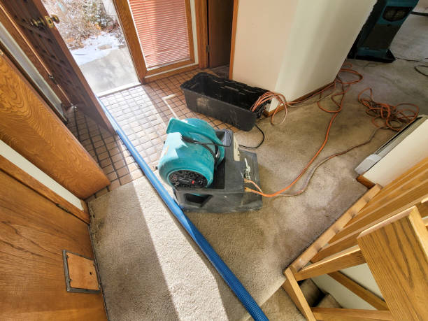 Best Flood damage cleanup  in Dumas, TX