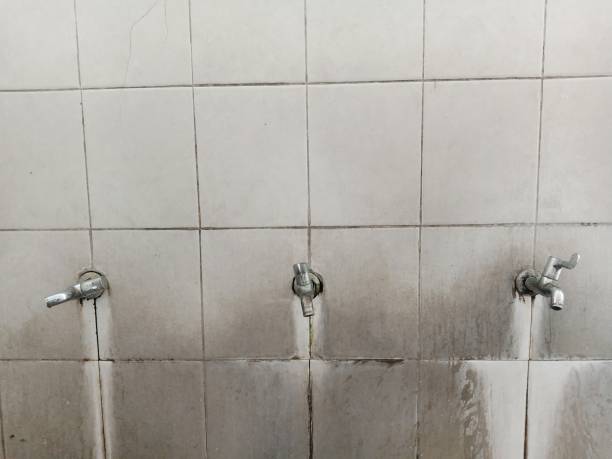 Best Commercial water damage restoration  in Dumas, TX