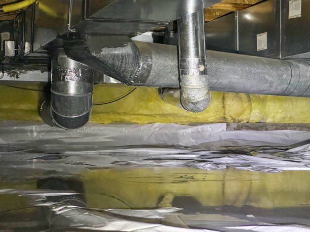 Best Water damage contractors near me  in Dumas, TX