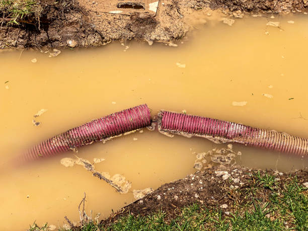 Best 24/7 water damage repair  in Dumas, TX